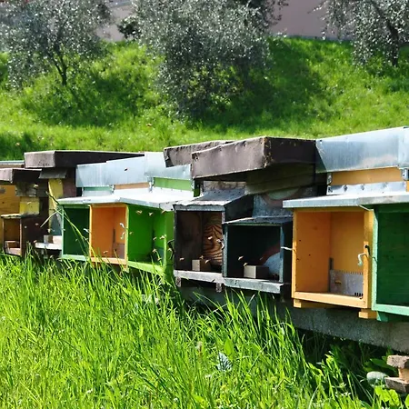 Apartman Il Medeghino Musso